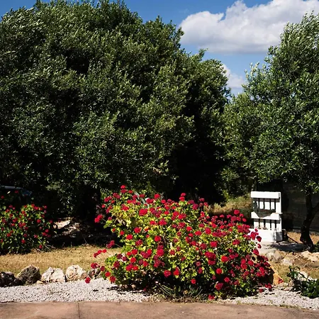 Lorella - Oltremare Casal Velino